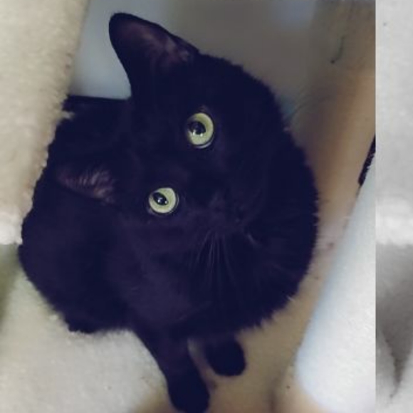 Meet your Posher, Hayley - Picture 6 of 8